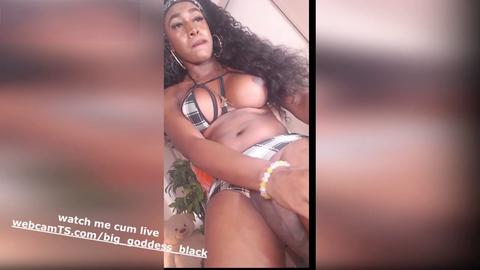 TS Cazzo Nero Grosso in diretta su Cam
